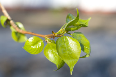 Similar image 505887