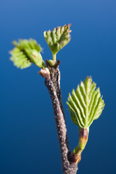 Similar image 505888