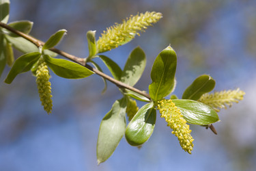 Similar image 505892