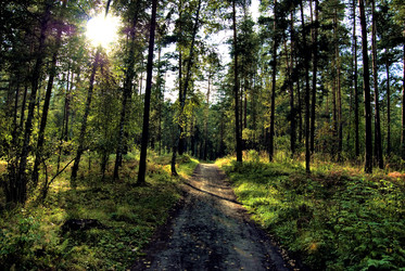 Similar image 505894