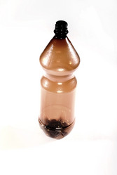 Similar image 505945