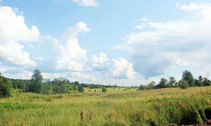 Similar image 505968