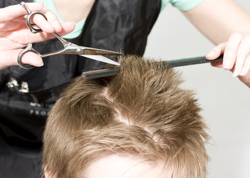 Similar image 505975