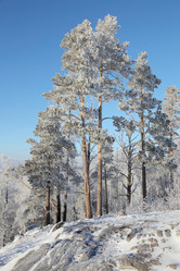 Similar image 506002