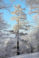 Similar image 506003