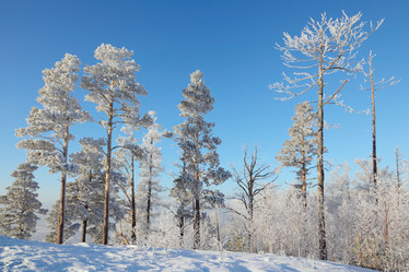 Similar image 506004