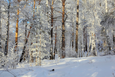 Similar image 506006