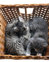 Similar image 506092