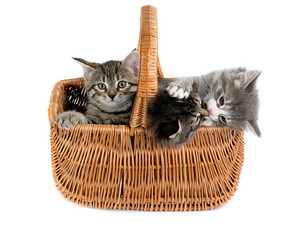 Similar image 506093