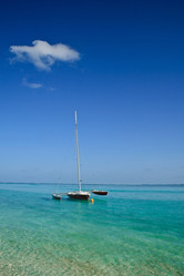 Similar image 506098