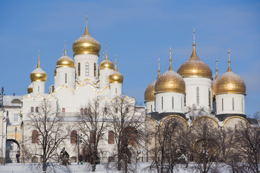 Similar image 506226