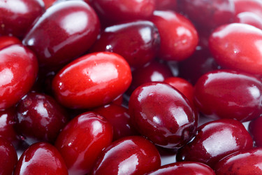 Similar image 506231