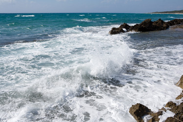 Similar image 506265