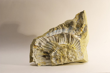 Similar image 506274