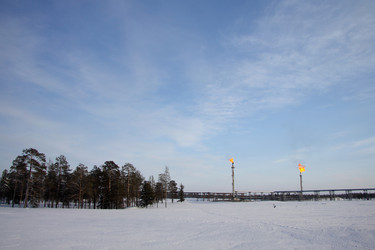 Similar image 506275