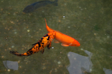 Similar image 506283