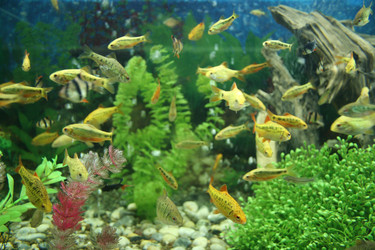 Similar image 506284