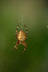 Similar image 506309