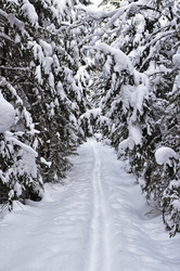 Similar image 506373