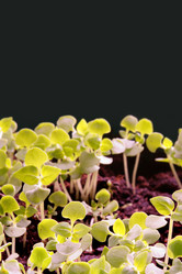 Similar image 506374