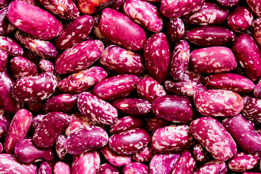 Similar image 506384