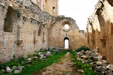 Similar image 506396