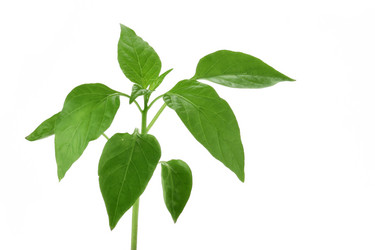 Similar image 506406