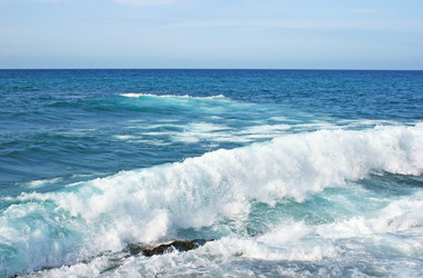 Similar image 506425