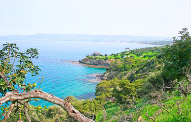 Similar image 506435