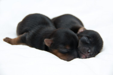 Similar image 506457