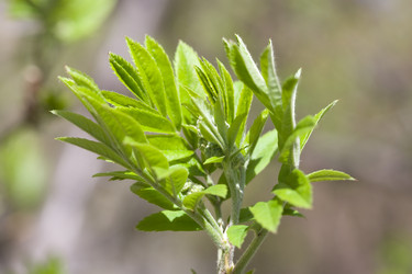 Similar image 506478