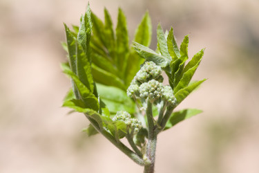 Similar image 506482