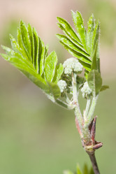 Similar image 506486