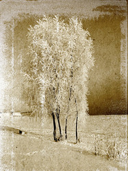 Similar image 506490