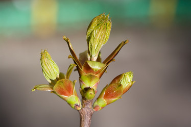 Similar image 506492