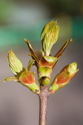 Similar image 506493