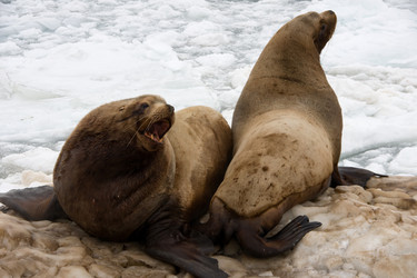 Similar image 506496