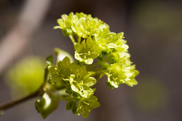 Similar image 506498