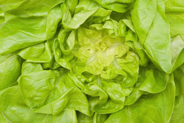 Similar image 506538