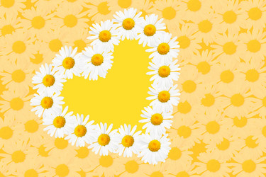 Similar image 506554