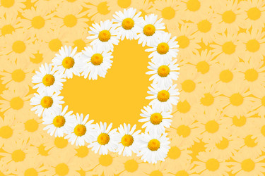 Similar image 506557