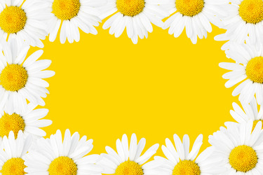 Similar image 506562