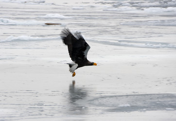 Similar image 506573