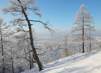 Similar image 506582