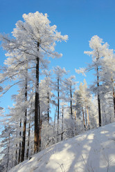 Similar image 506583