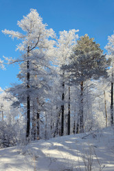 Similar image 506584