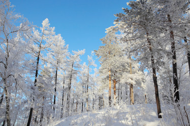 Similar image 506587