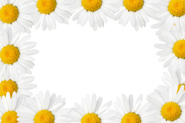 Similar image 506591