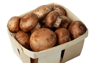 Similar image 506593