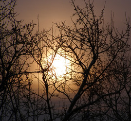 Similar image 506612